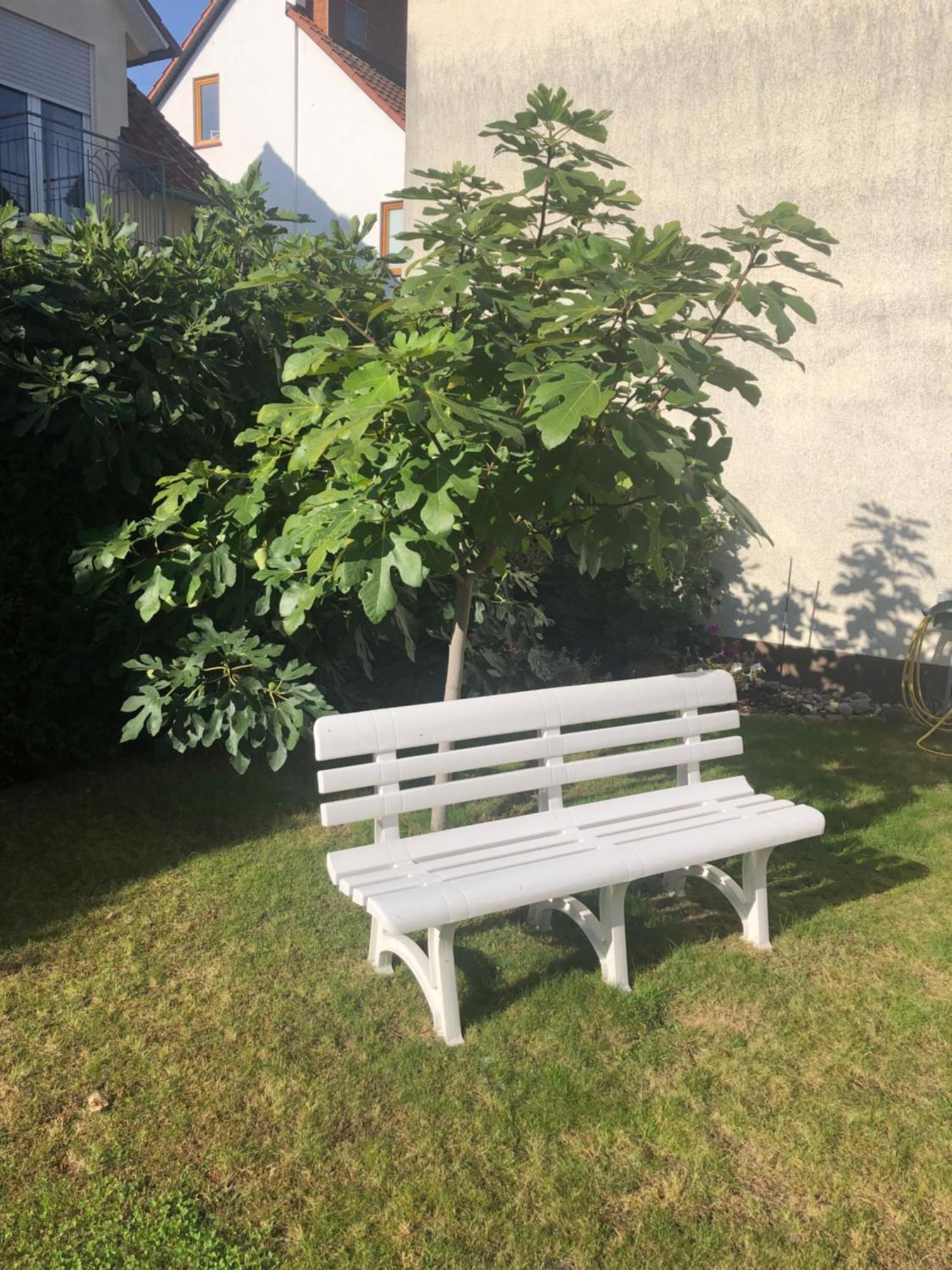 Ferienzimmer Viernheim- Work And Chill Exterior foto
